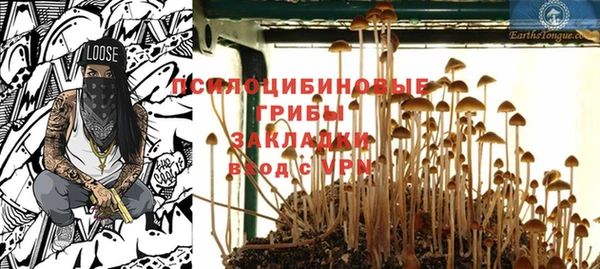 круглые Инсар