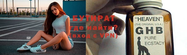 сатива Каменногорск