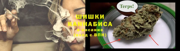 сатива Каменногорск