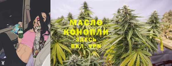 сатива Каменногорск