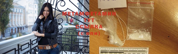 сатива Каменногорск