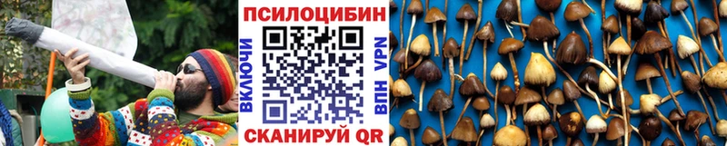 где продают   Ирбит  Галлюциногенные грибы мухоморы 