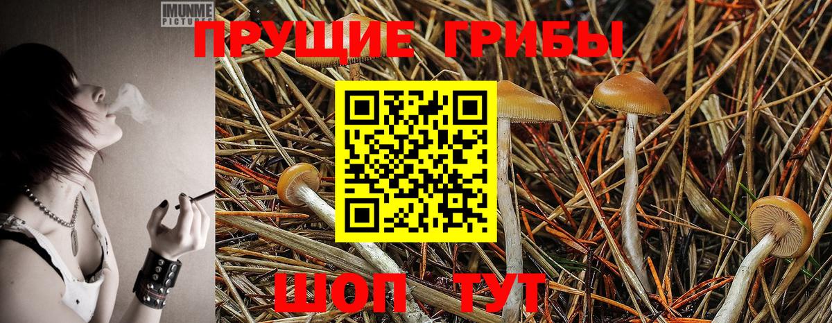 Псилоцибиновые грибы прущие грибы  купить наркотики сайты  Ирбит  Вход с VPN 